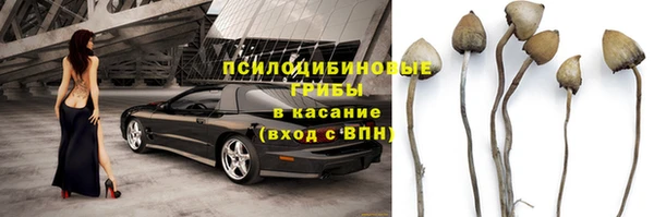 apvp Баксан