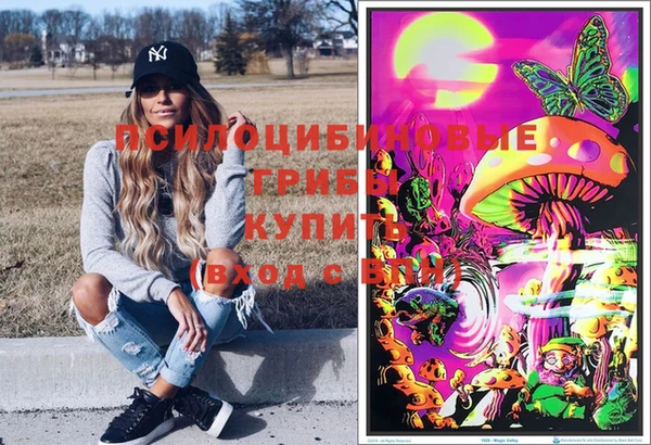 ГАЛЛЮЦИНОГЕННЫЕ ГРИБЫ Балахна