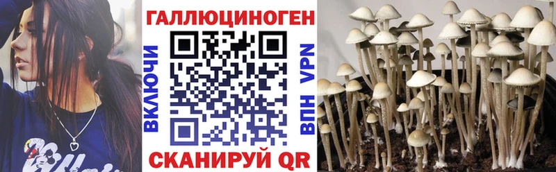 Галлюциногенные грибы прущие грибы  где можно купить   Реж 